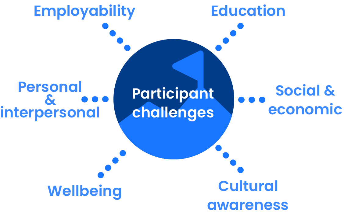 Participant Challenges - graphic